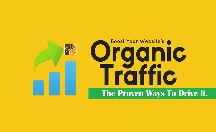 driving organic traffic